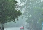 जुलाई में सामान्य रही मानसूनी बारिश, एल नीनो की आशंकाओं के बावजूद सामान्य से बेहद करीब दर्ज हुई वर्षा