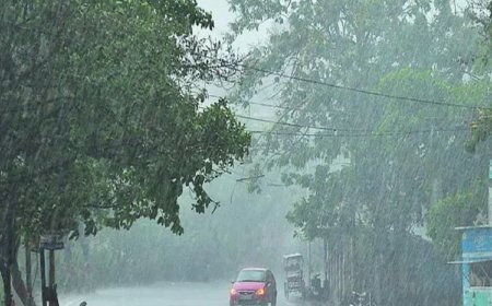 मौसम विभाग का अलर्ट, कई राज्यों में भारी बारिश की संभावना, किसानों को सतर्क रहने की सलाह
