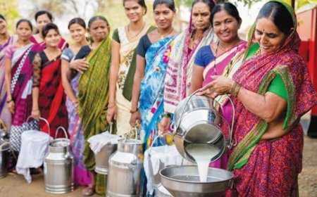 उत्तर प्रदेश में महिलाओं की डेयरी से बदली ग्रामीण अर्थव्यवस्था, चार लाख महिलाएं जुड़ीं
